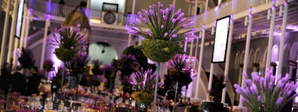 A Thistle Spectacular